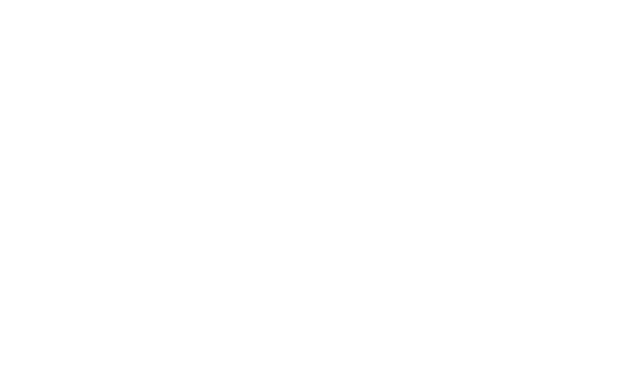 praxis-logo-weisz groß
